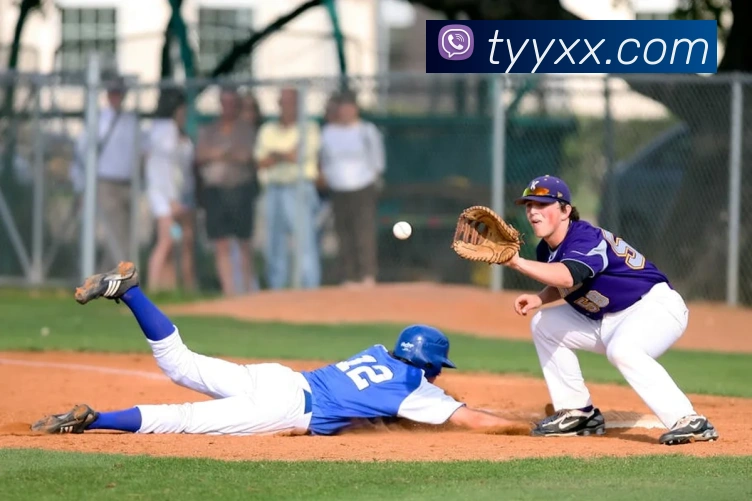 世界杯网上购票平台平台生态图